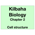 Biology Chapter 2 - Cell Structure